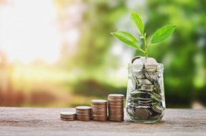 plant growing from a savings jar